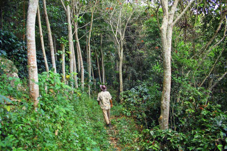 Juan Jimenez on his coffee farm in Peru