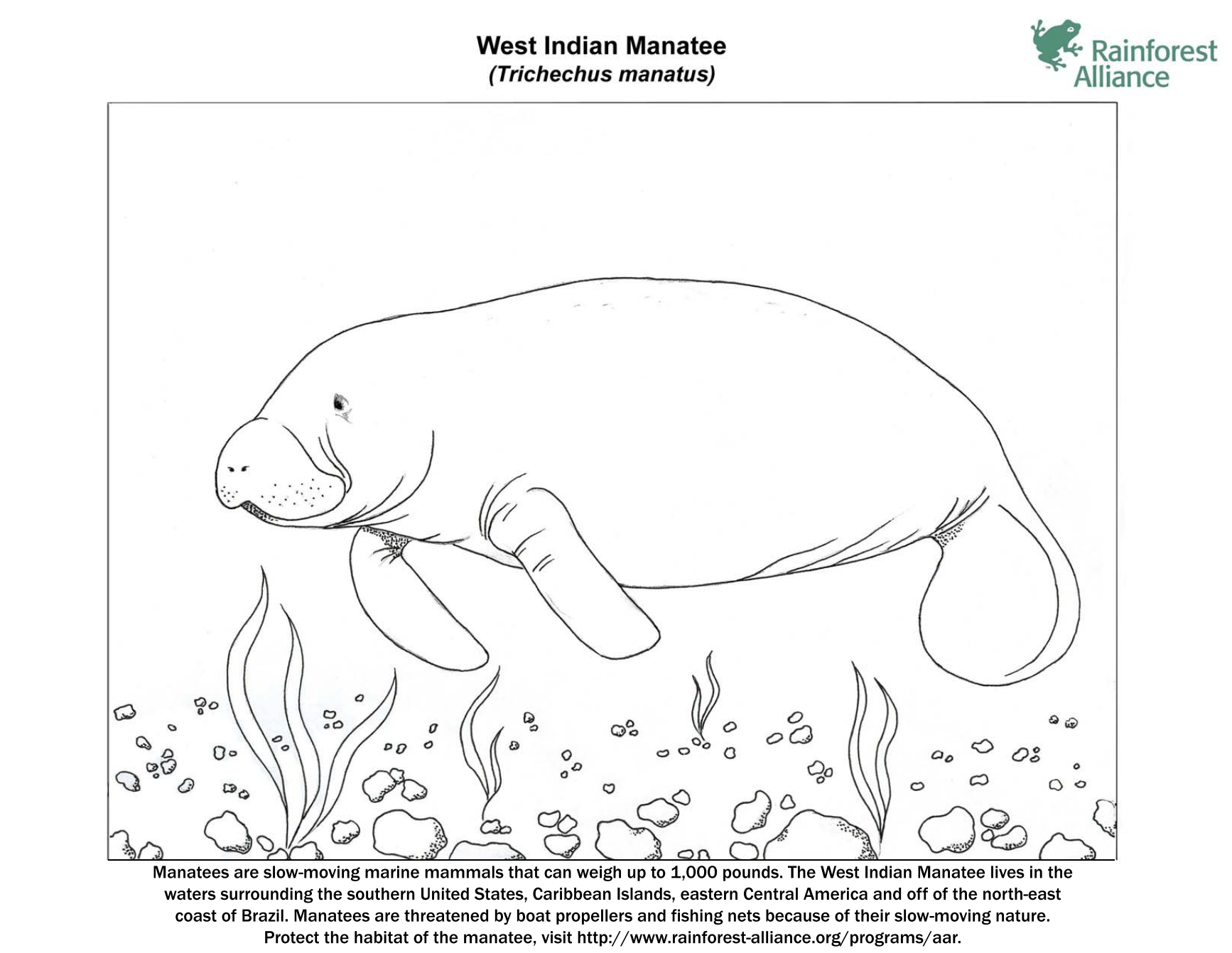 southern coloring pages