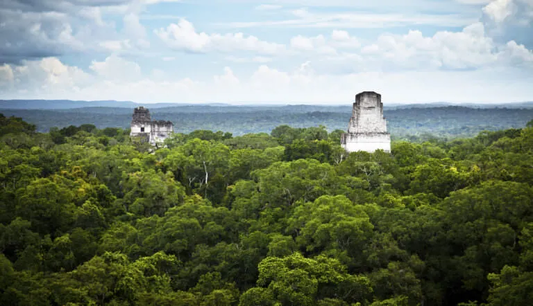 The Maya Biosphere reserve, in Guatemala, is one of the leading examples of community forestry success worldwide