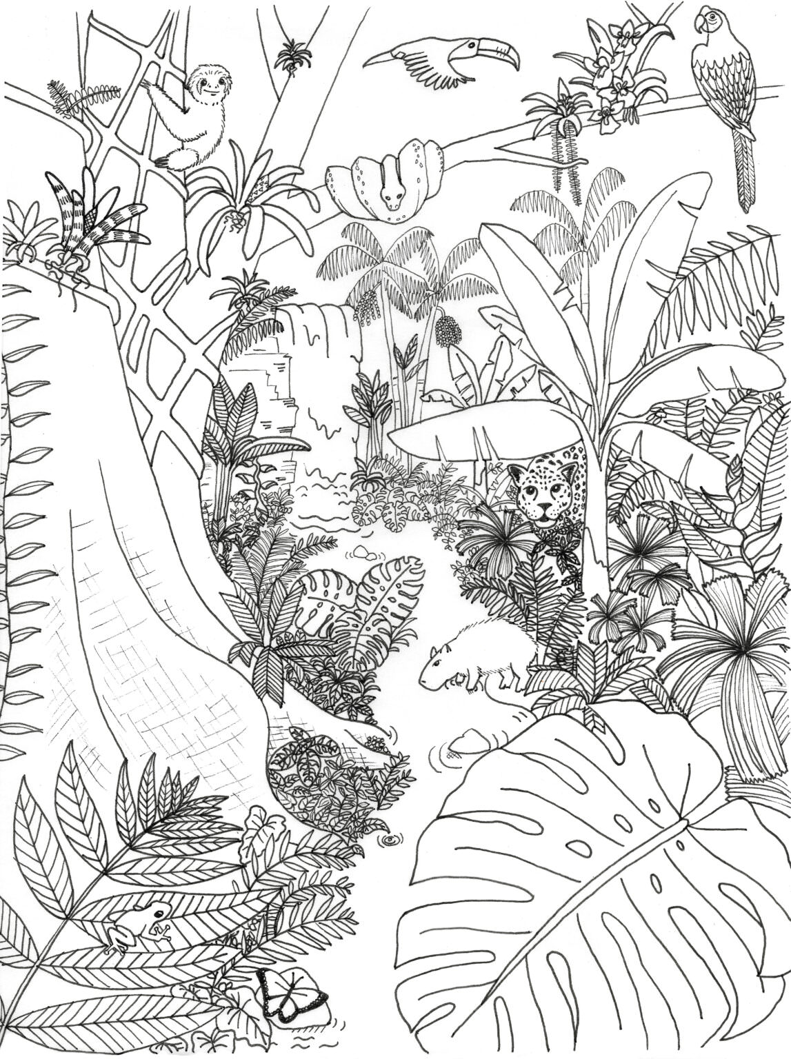 Kids Archives | Rainforest Alliance