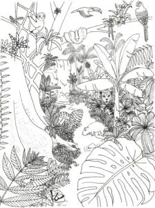 rainforest coloring page