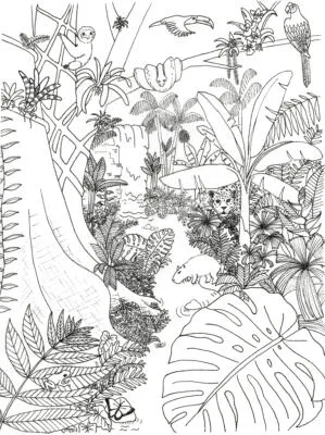 rainforest coloring page