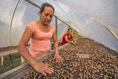 Melindungi HAM masyarakat perdesaan adalah inti dari misi Rainforest Alliance