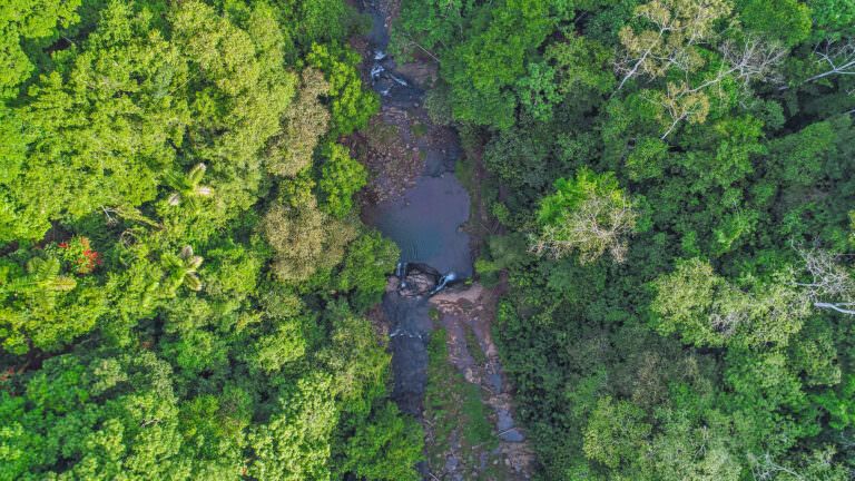 rio sixaola, sustainable banana farm in Costa Rica