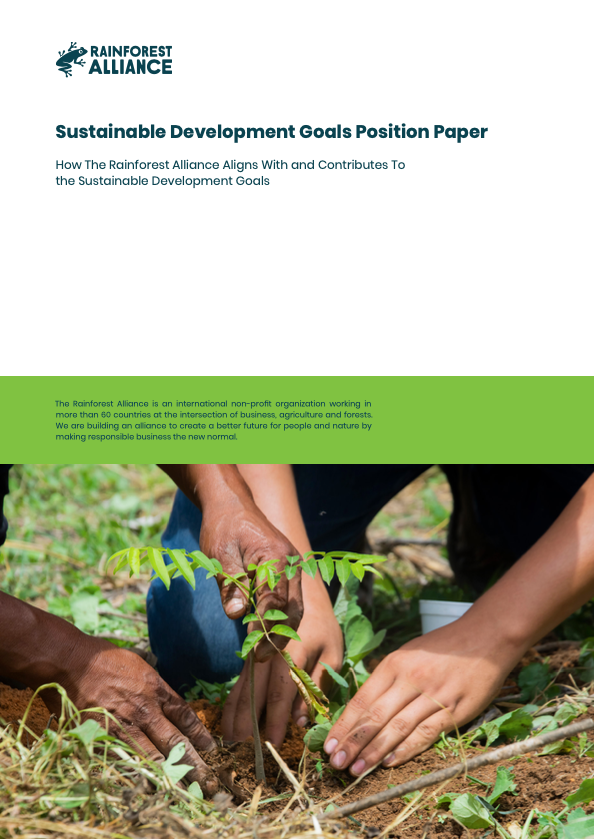 term paper on sustainable development