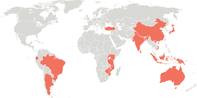 Carte des pays producteurs de thé avec lesquels Rainforest Alliance travaille