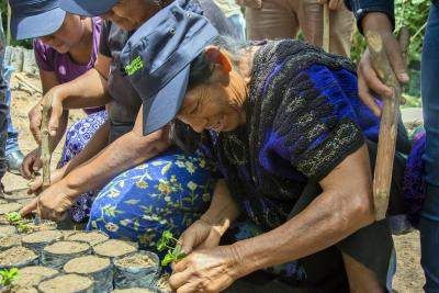 女性 再生型農業 メキシコ