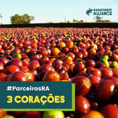 3 Coracoes