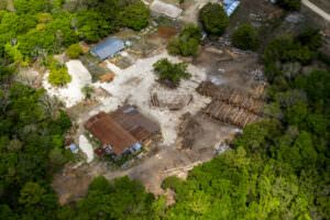 Las concesiones forestales comunitarias han generado significativos beneficios socioeconómicos a las comunidades forestales de Petén y a la conservación de los bosques de este país centroamericano.