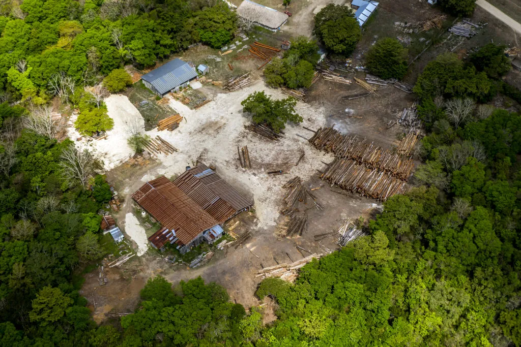 Las concesiones forestales comunitarias han generado significativos beneficios socioeconómicos a las comunidades forestales de Petén y a la conservación de los bosques de este país centroamericano.