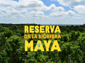 Reserva de la Biósfera Maya