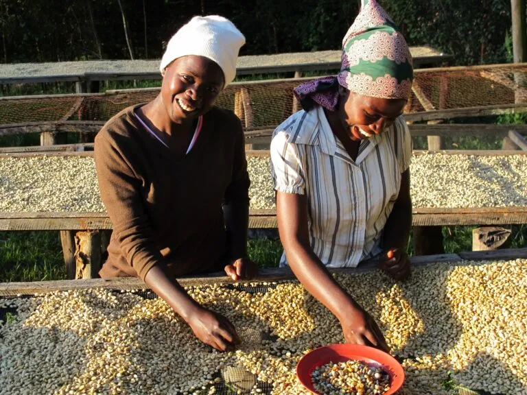 Maraba Coffee Cooperative washing station