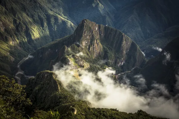 Andes Tropicales