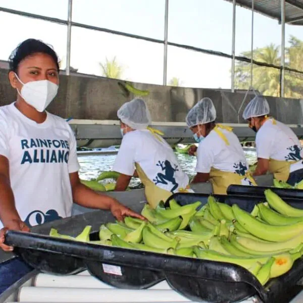 agricultores
