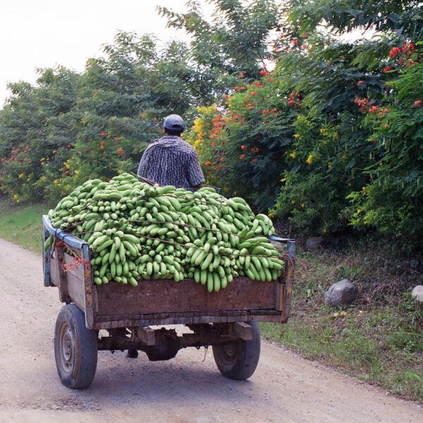 los conflictos en europa del este
