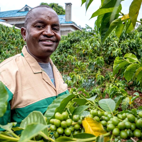 A coffee farmer in his field at the Household Energy Center in Kenya