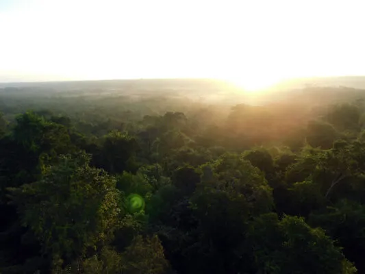 Ejidos y comunidades forestales