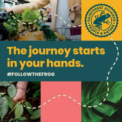 The journey states in your hands #followthefrog