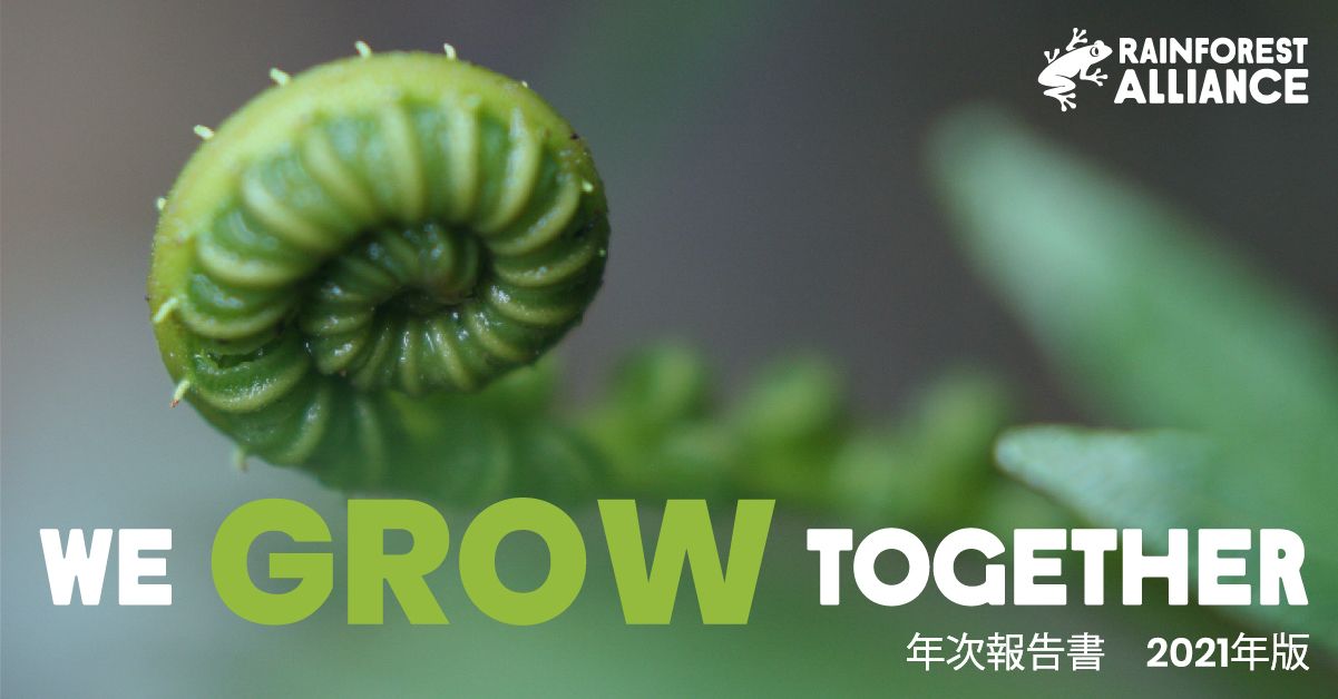 レインフォレスト アライアンス年次報告書21年版