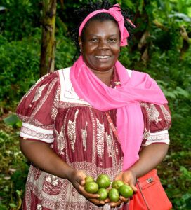 The Forest Allies initiative supports rural communities in Cameroo to address the urgent threat of deforestation.