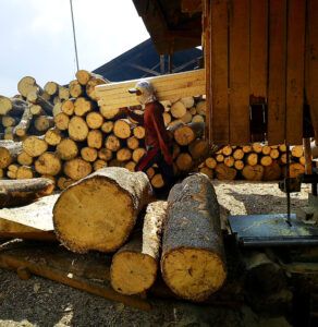 L’initiative Forest Allies soutient les communautés rurales d’Indonésie dans leurs efforts visant à préserver et restaurer leurs forêts.