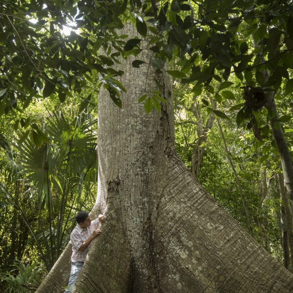 The Rainforest Alliance has led projects in Mexico for three decades