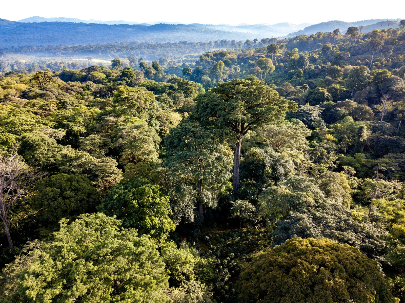 Ethiopia landscape