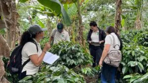 Capacitación en campo Nicaragua
