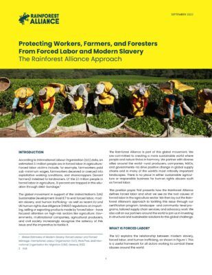 Protecting Workers Farmers and Foresters White paper