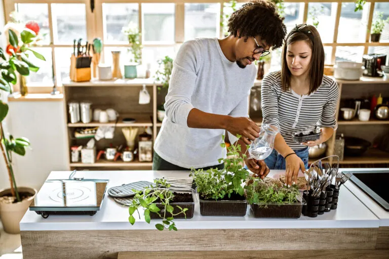 Couple taking care of kitchen herbs