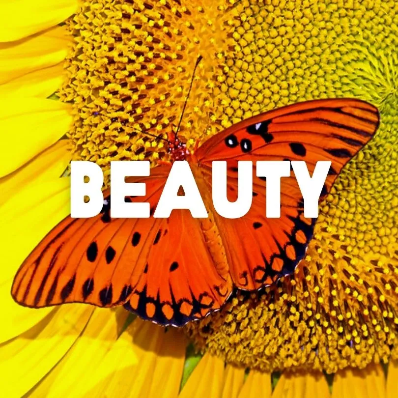 Beauty