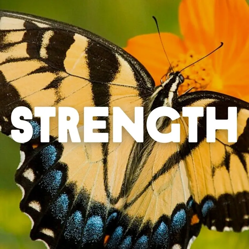 Strength