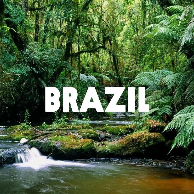 Brazil