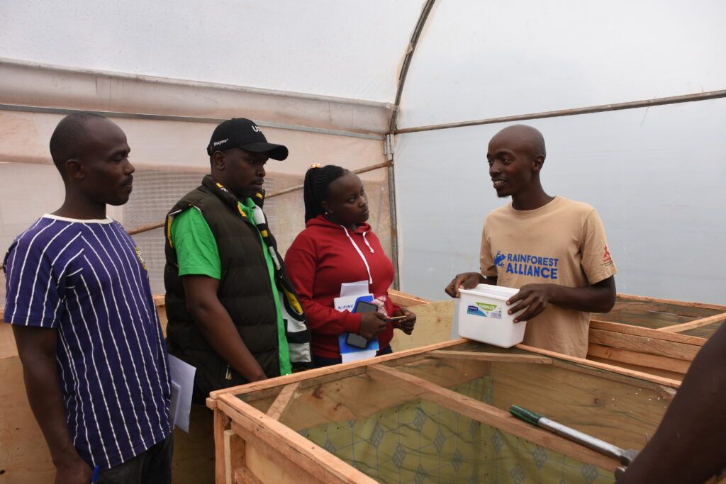 Four people gather around a box about waist-height, talking. One of them is wearing a Rainforest Alliance t-shirt.