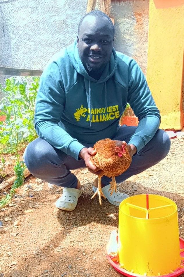 A man in a green Rainforest Alliance hoodie squats with a brown chicken in his hands.