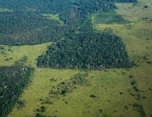 aerial-view-deforestation