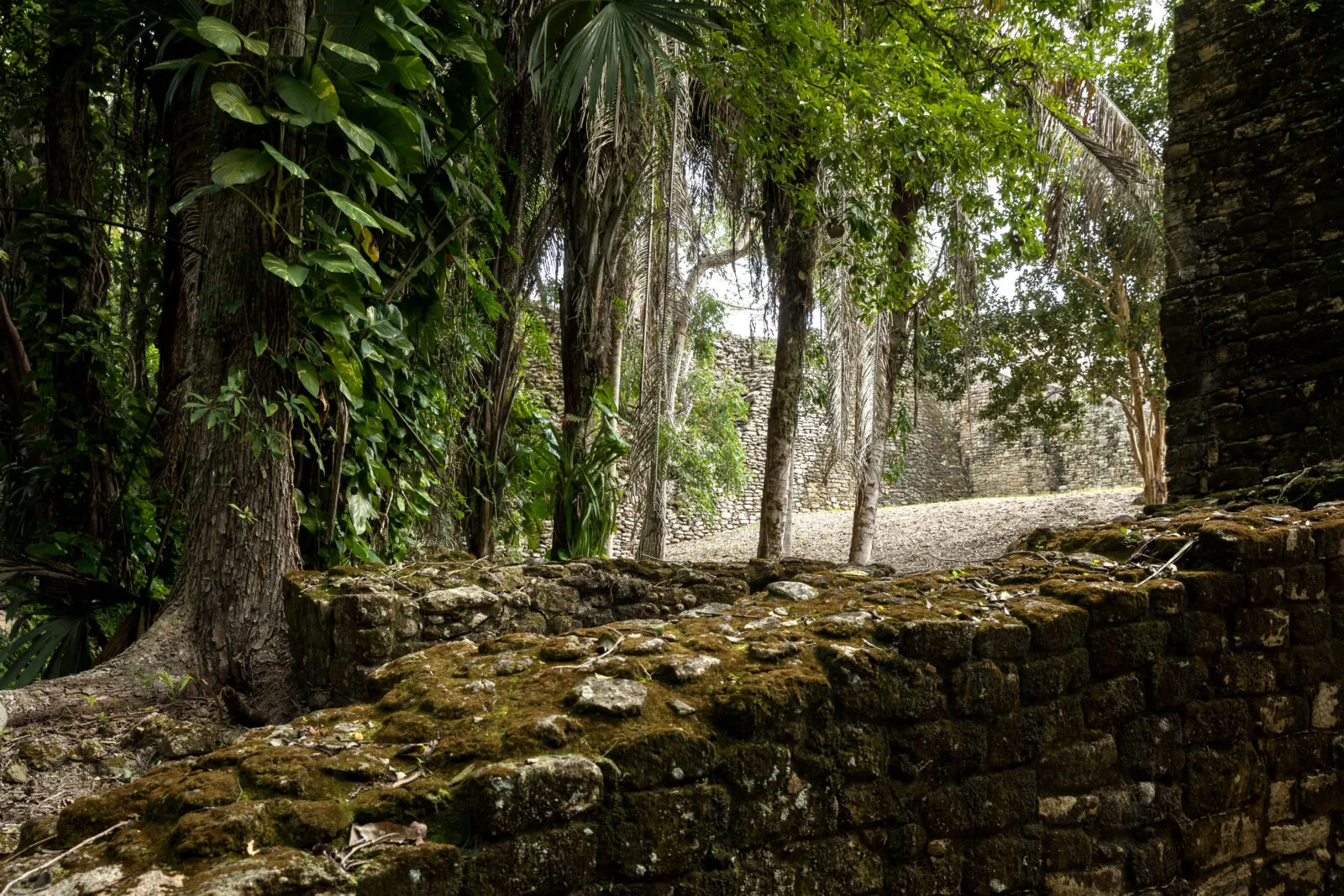 Kohunlich Archaeological Zone, in the Yucatan Peninsula.