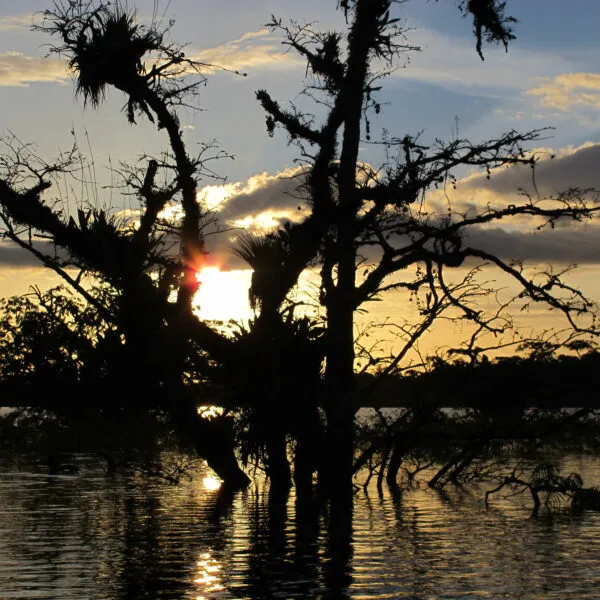 Ecuador, Amazonia