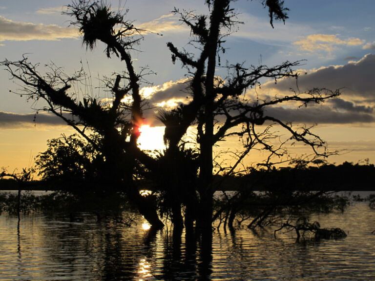 Ecuador, Amazonia
