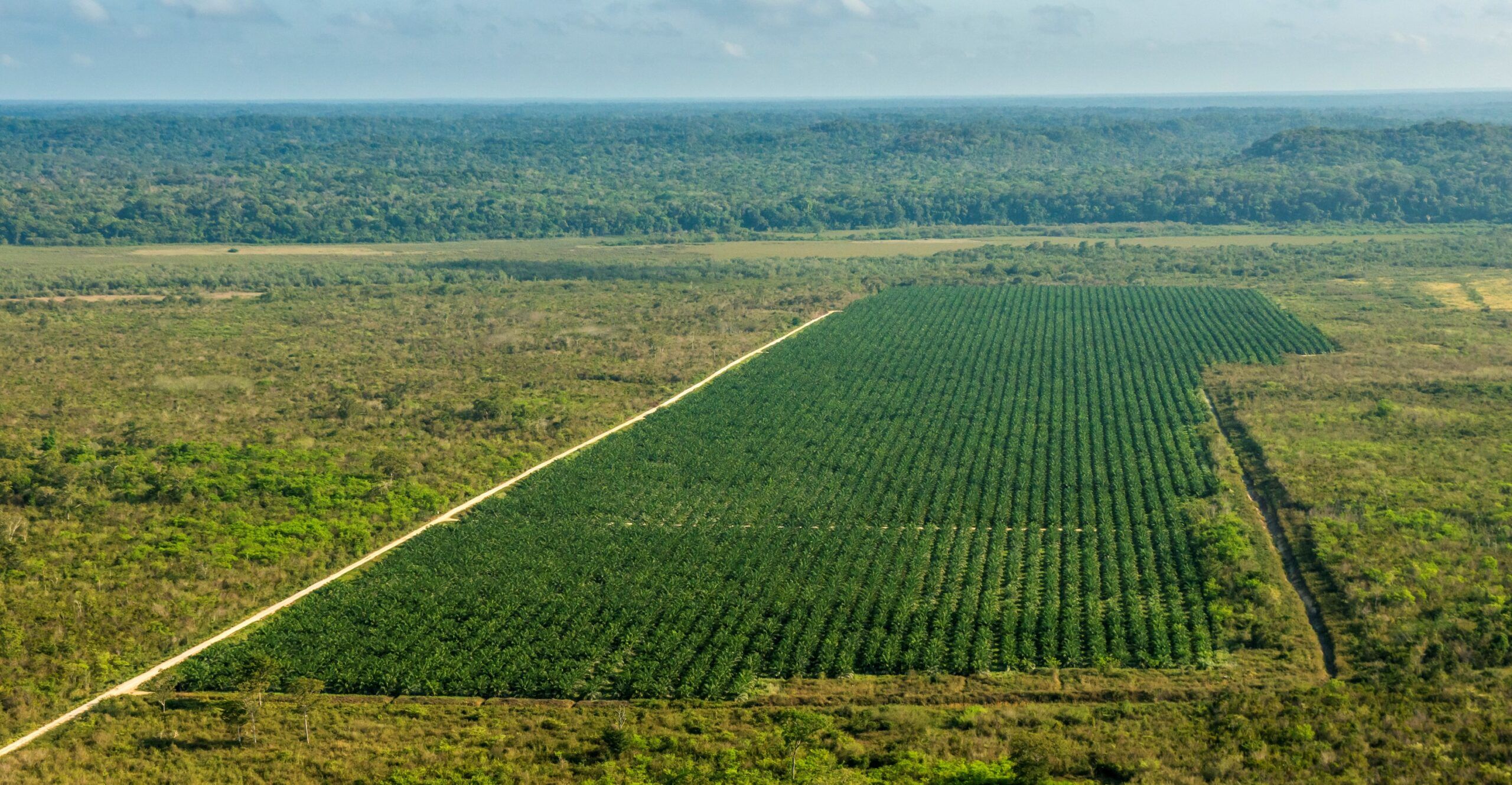 Building Responsible Supply Chains Bridging Gaps With Accountability