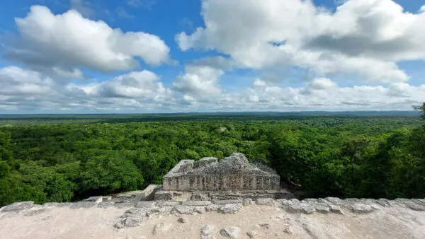 An aerial view of the Calakmul ruins in the Mexican Selva Maya region with lush forest and a beautiful blue sky & clouds
