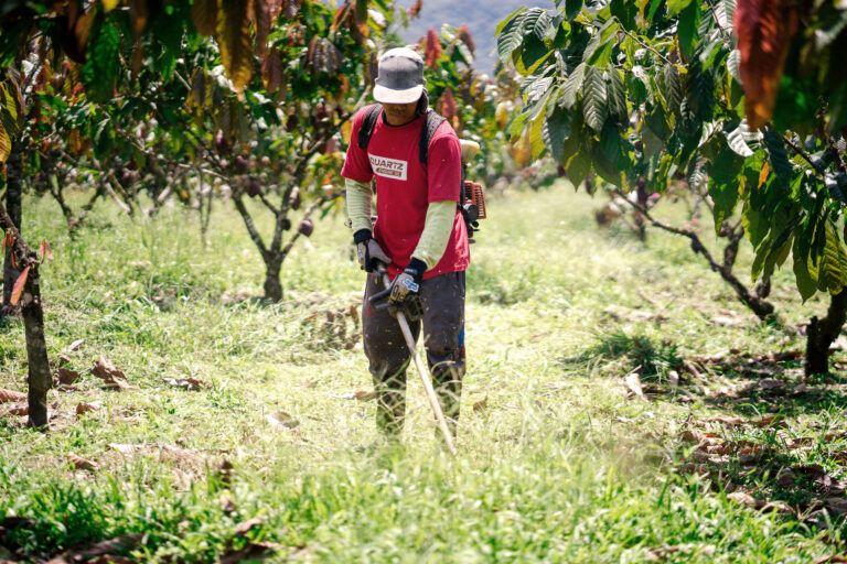Rustan Effendi using the grasscutter on his farm.