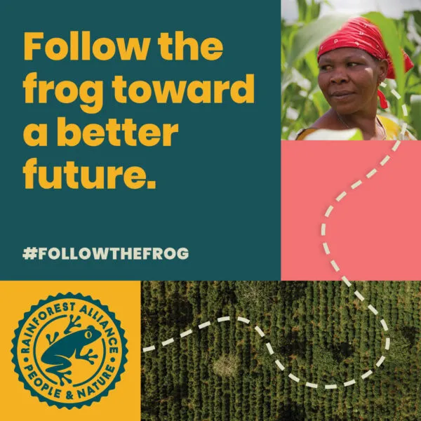 Follow the Frog toward a better future. 