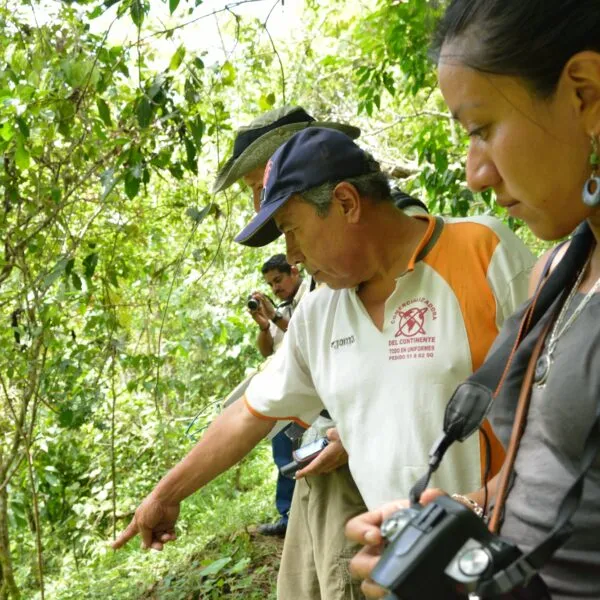 audit taking place in a coffee farm in Mexico