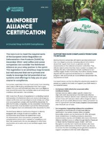 Rainforest Alliance Certification A Crucial Step to EUDR Compliance