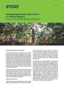Scaling Regenerative Agriculture in Tropical Regions