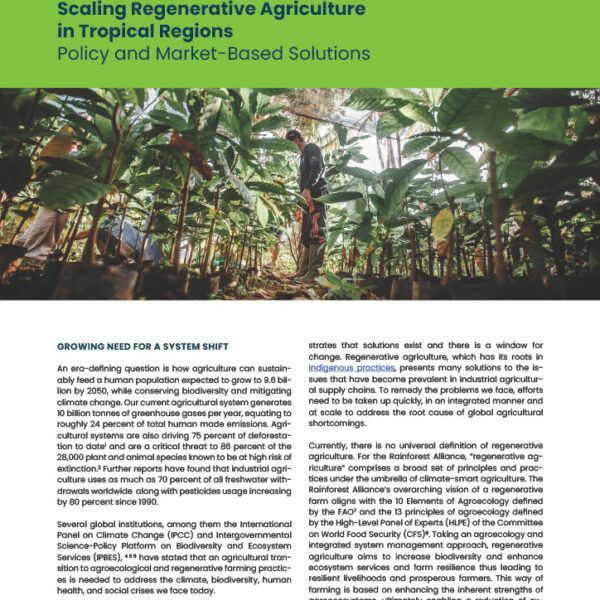 Scaling Regenerative Agriculture in Tropical Regions