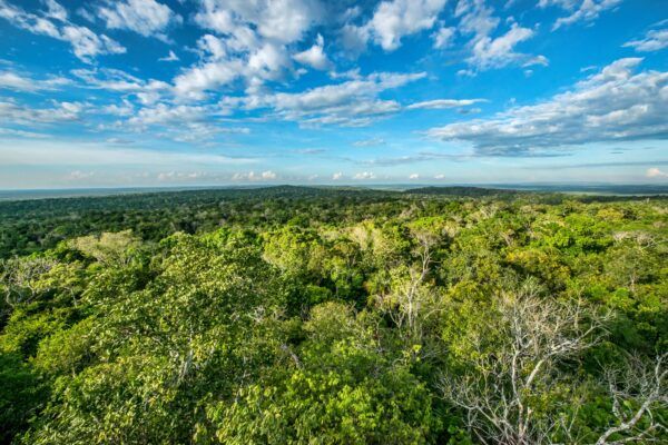 Project Profile Guatemala’s Prosperous and Resilient Landscapes