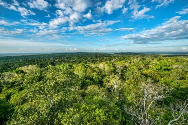 Project Profile Guatemala’s Prosperous and Resilient Landscapes