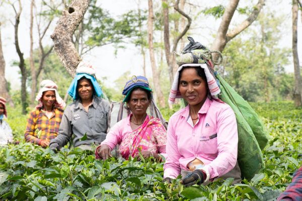 Pluckers-Sandeepan-Bhattacherjee